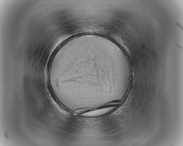 X0000097831032200804111034