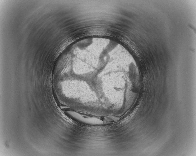 X0000097831033200804111034