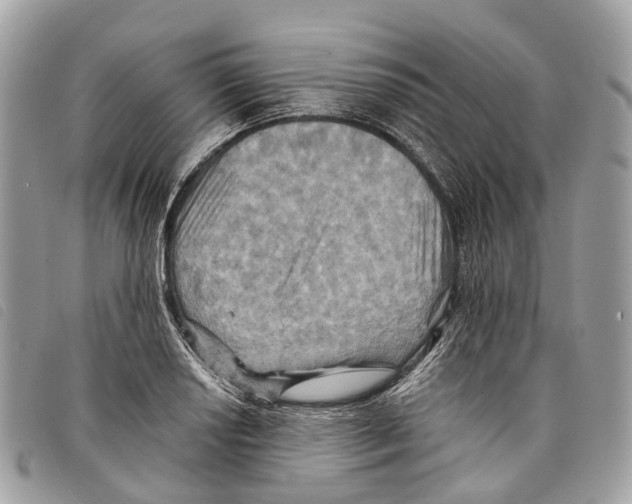 X0000097831034200804111034