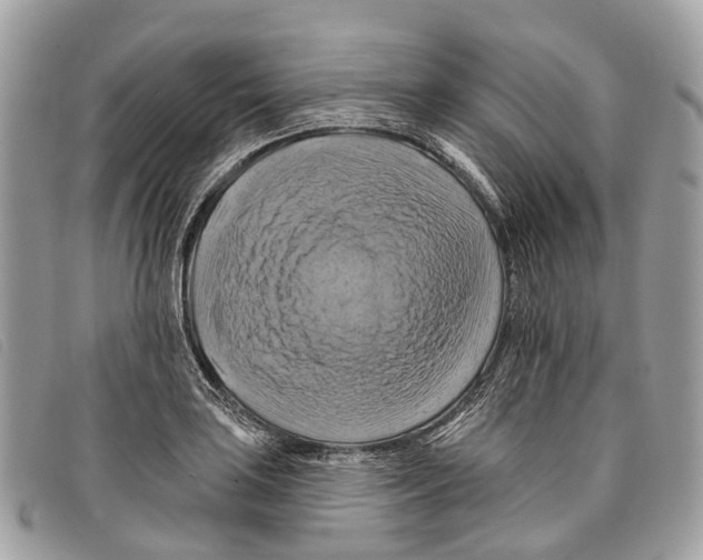 X0000097831035200804111034