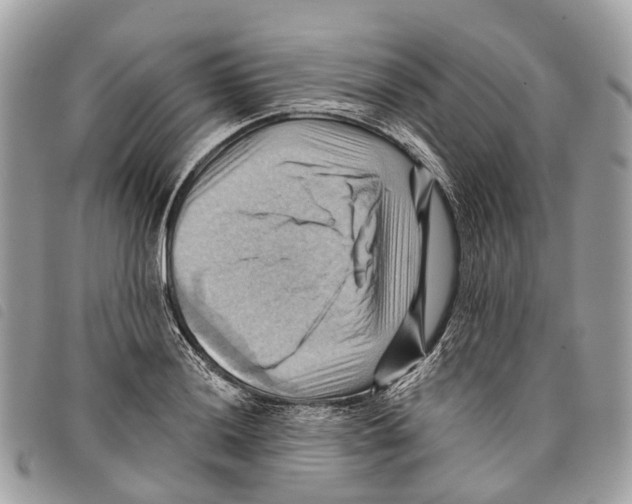 X0000097831036200804111034