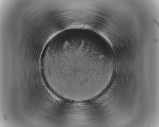 X0000097831037200804111034