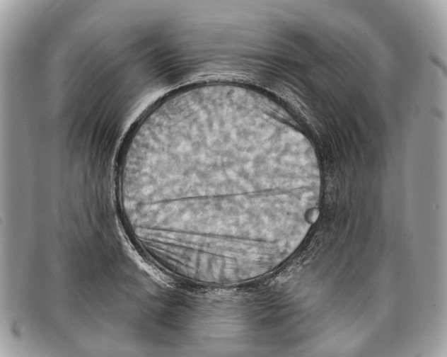 X0000097831038200804111034