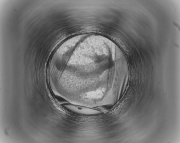 X0000097831039200804111034