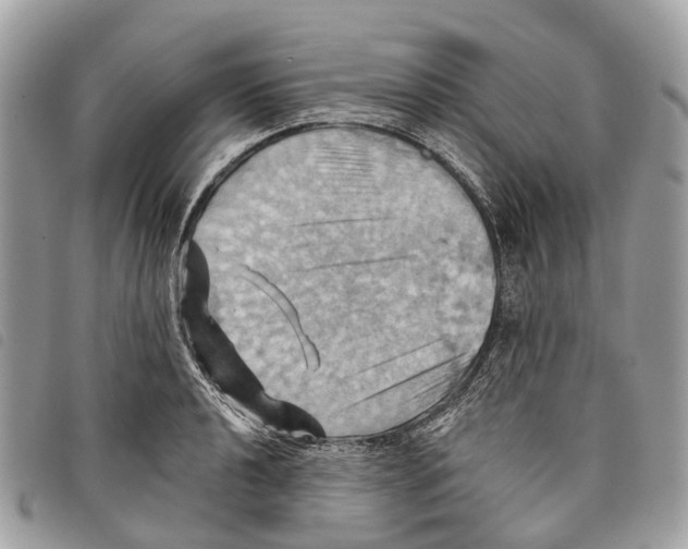 X0000097831040200804111034