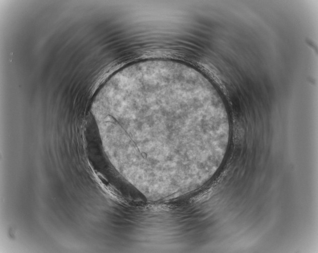 X0000097831041200804111034