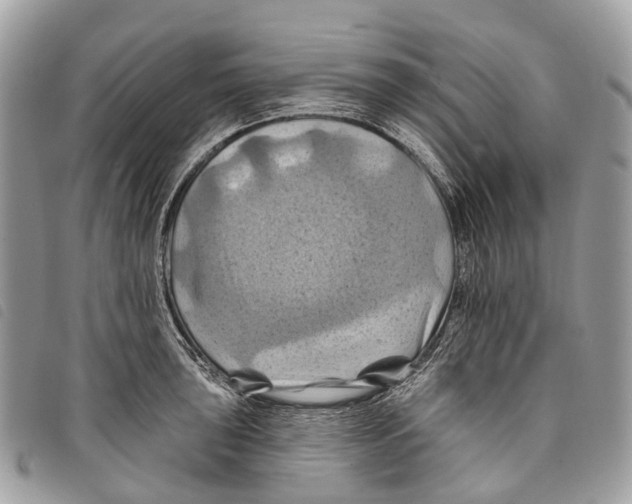 X0000097831043200804111034