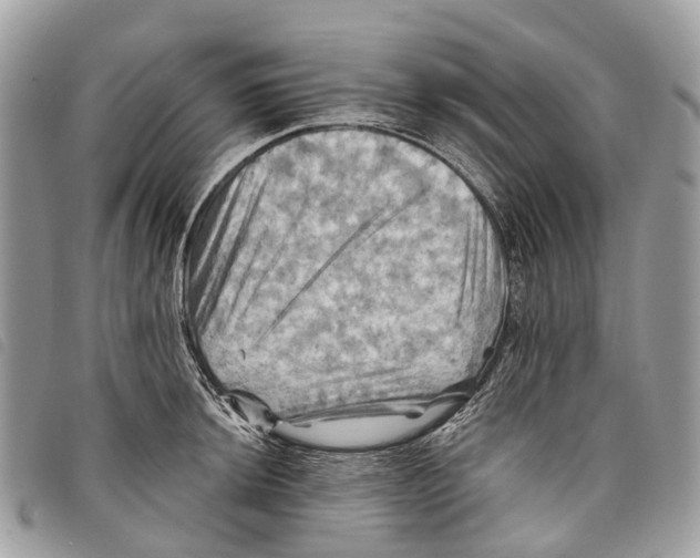 X0000097831044200804111034