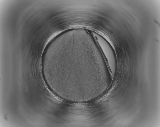 X0000097831045200804111034