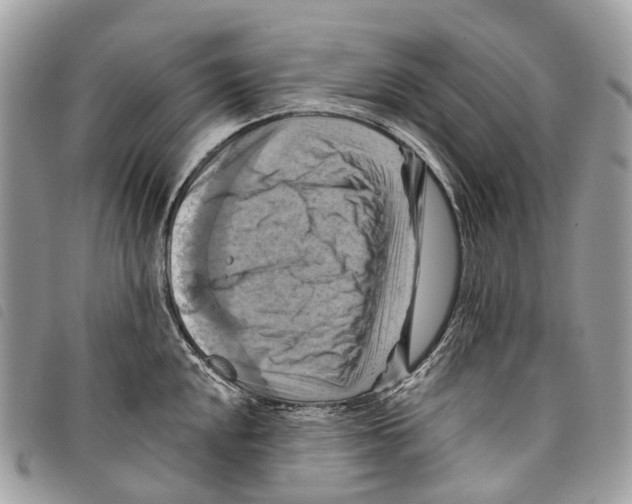 X0000097831048200804111034