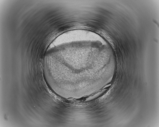 X0000097831049200804111034