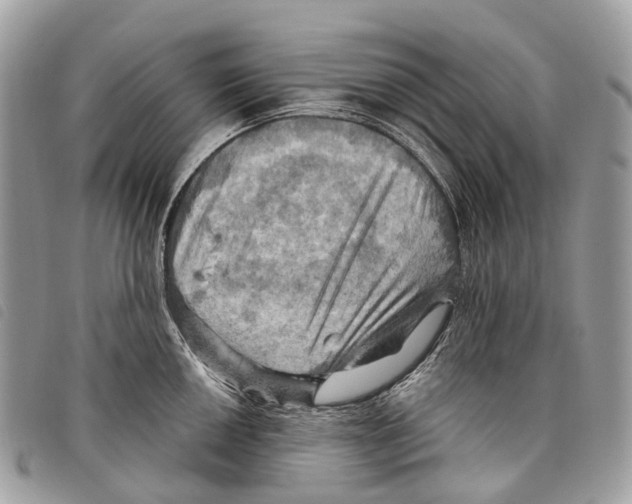 X0000097831050200804111034