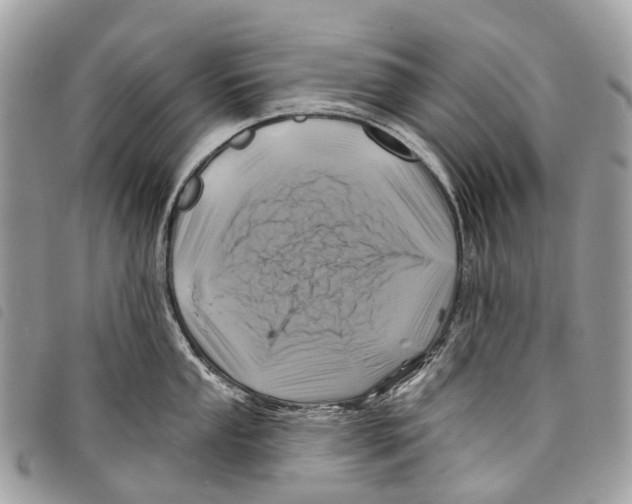 X0000097831053200804111035