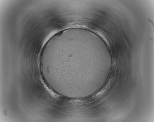 X0000097831054200804111035