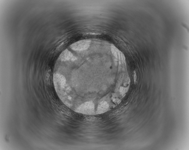 X0000097831059200804111034