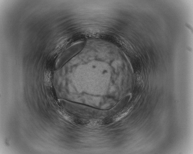 X0000097831060200804111034