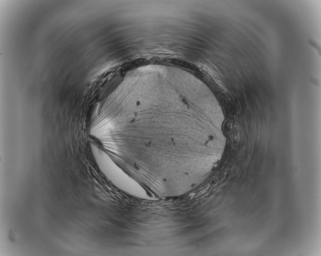 X0000097831063200804111034