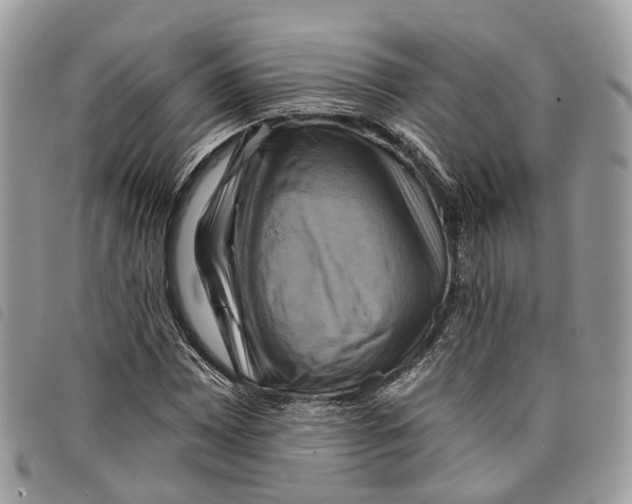 X0000097831065200804111034