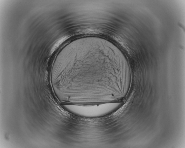 X0000097831066200804111034