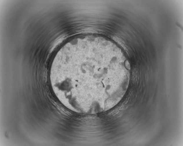 X0000097831067200804111034