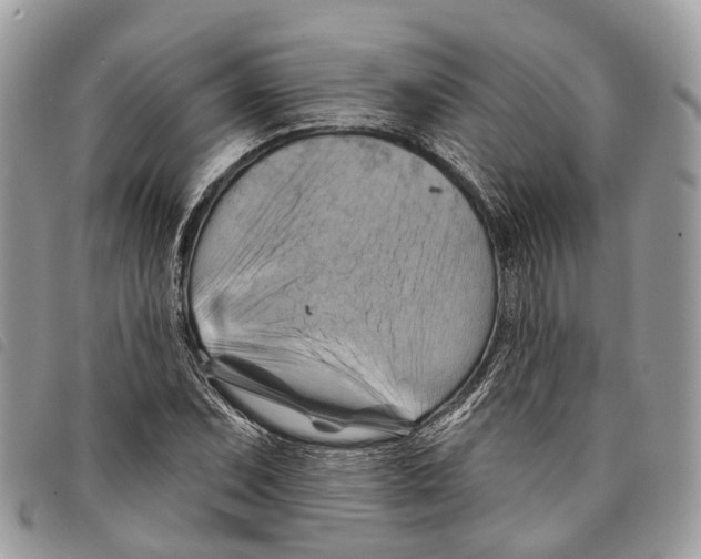 X0000097831071200804111034