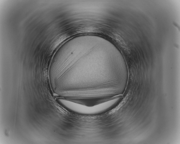 X0000097831073200804111033