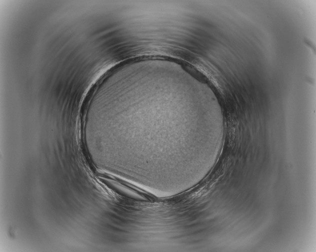 X0000097831076200804111033