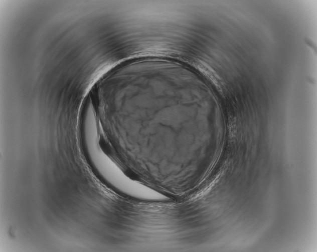 X0000097831077200804111033