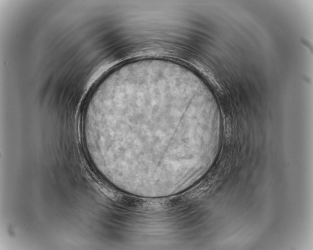 X0000097831078200804111033