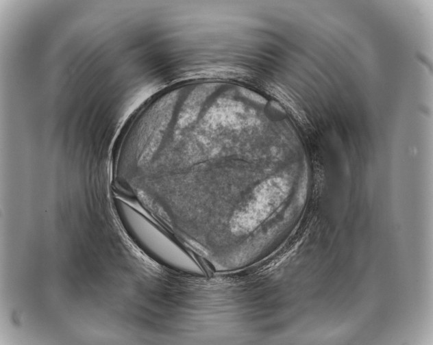 X0000097831079200804111033