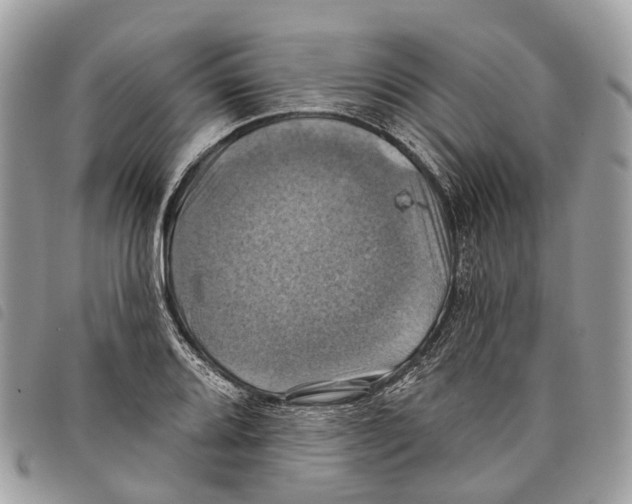 X0000097831080200804111033