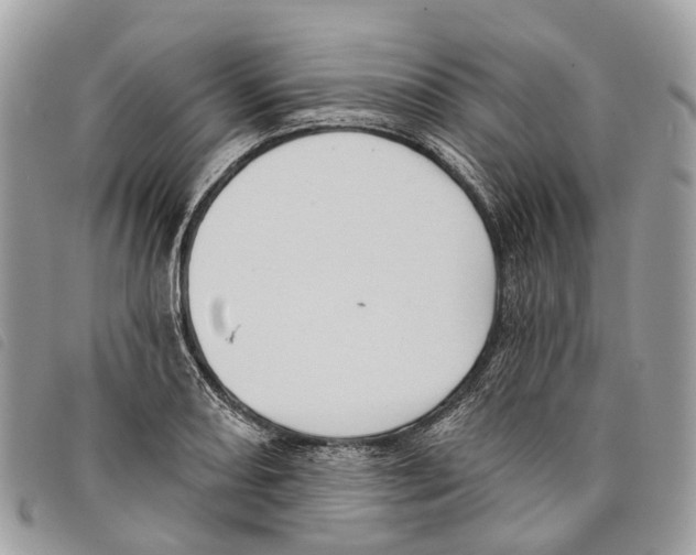 X0000097831082200804111033