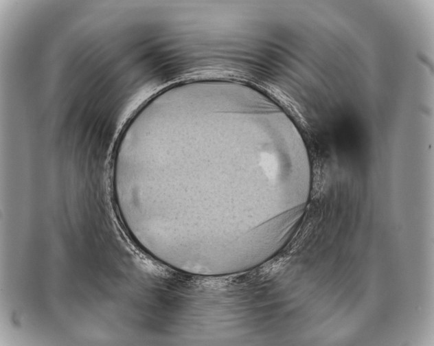 X0000097831086200804111033