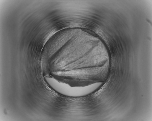 X0000097831089200804111033