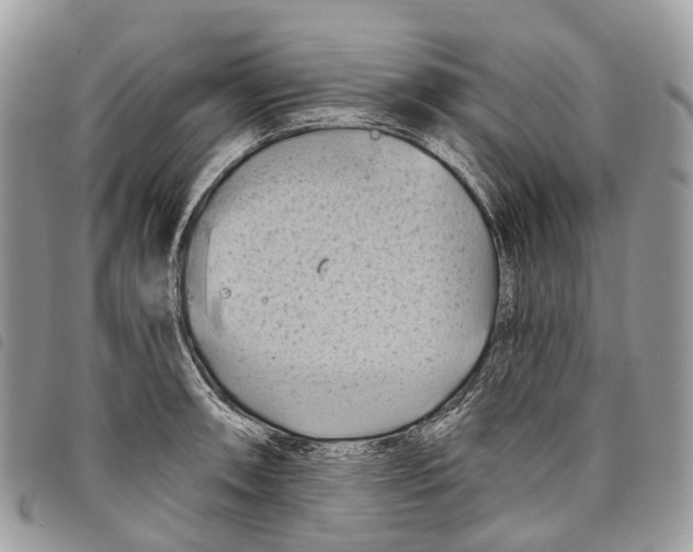 X0000097831090200804111033