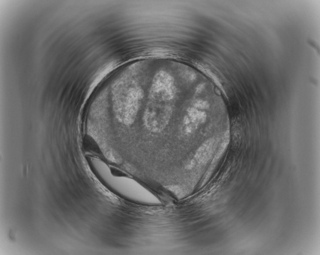 X0000097831091200804111033