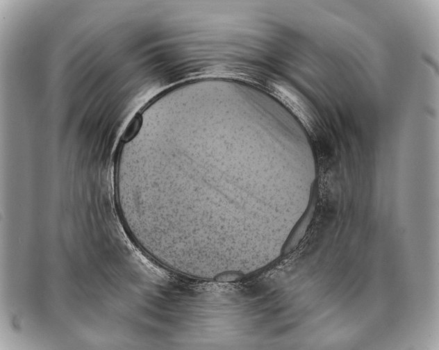 X0000097831092200804111033