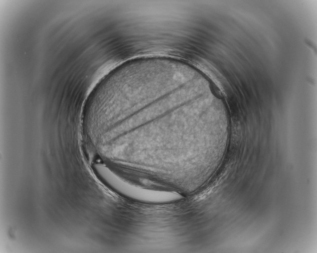 X0000097831093200804111033