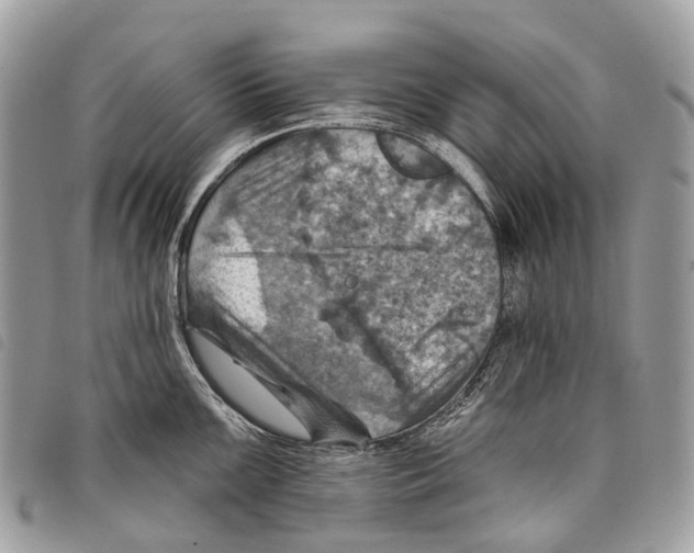 X0000097831099200804111033