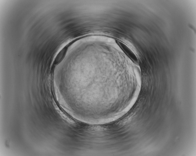 X0000097831100200804111033