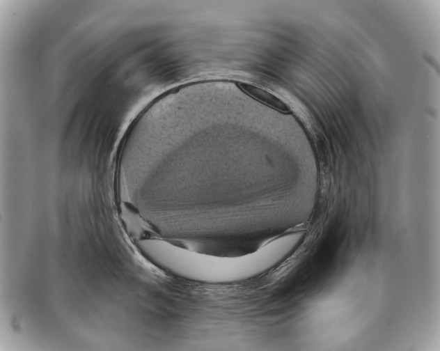 X0000097831102200804111033