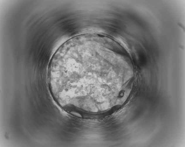 X0000097831103200804111033