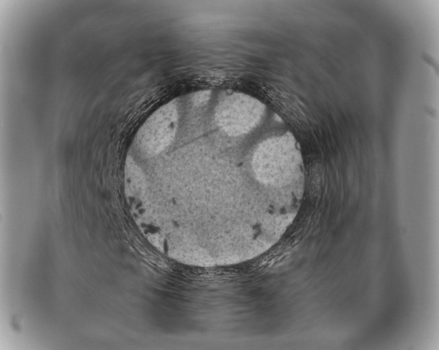 X0000097831105200804111032