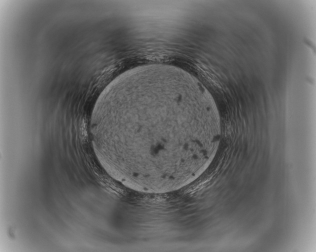 X0000097831106200804111032