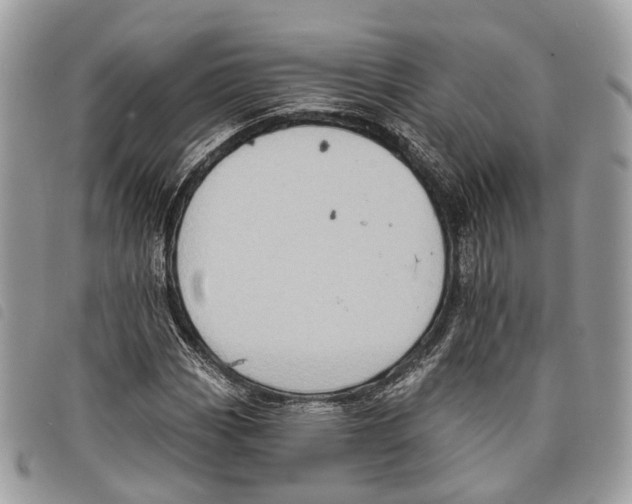 X0000097831113200804111032