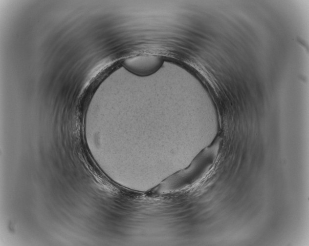 X0000097831115200804111032