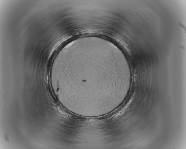 X0000097831117200804111032