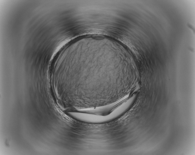 X0000097831120200804111032