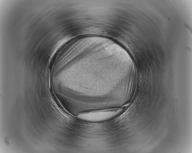 X0000097831123200804111032