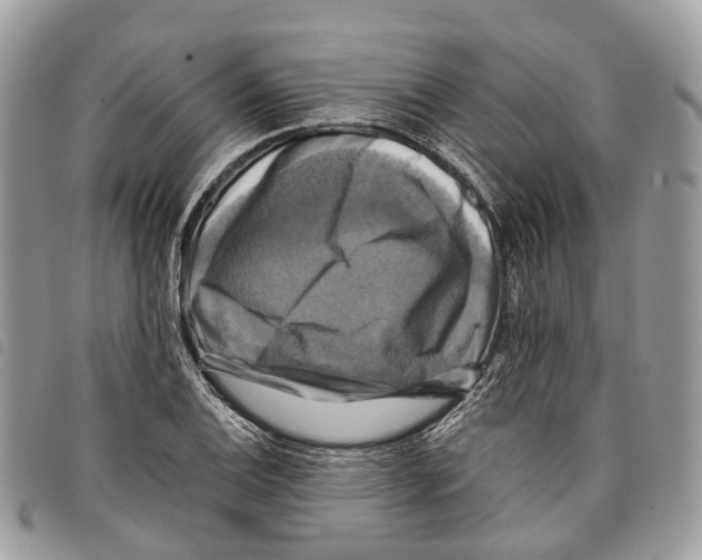 X0000097831124200804111032